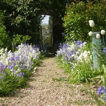 Kitchen garden Orchards Cookery