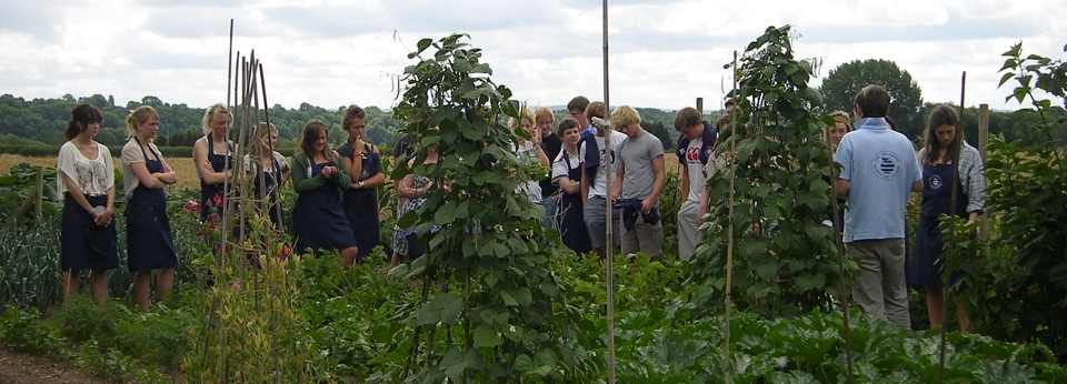 Off To University Course