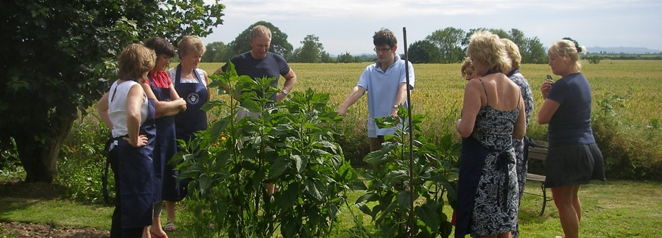 Corporate Day Cooking