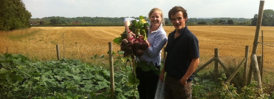 Poppy Beetroot