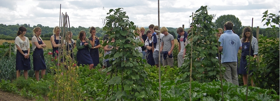 Chalet Cooks in Kitchen Garden