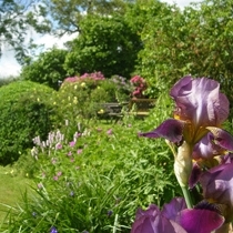 Orchard Cookery Accomodation