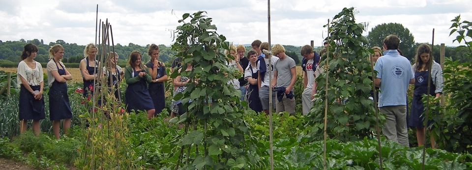 Kitchen Garden at Orchards Cookery